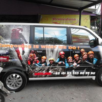Dafodil Sticker Bali 10