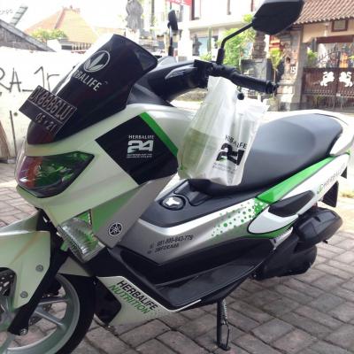 Dafodil Sticker Bali 13
